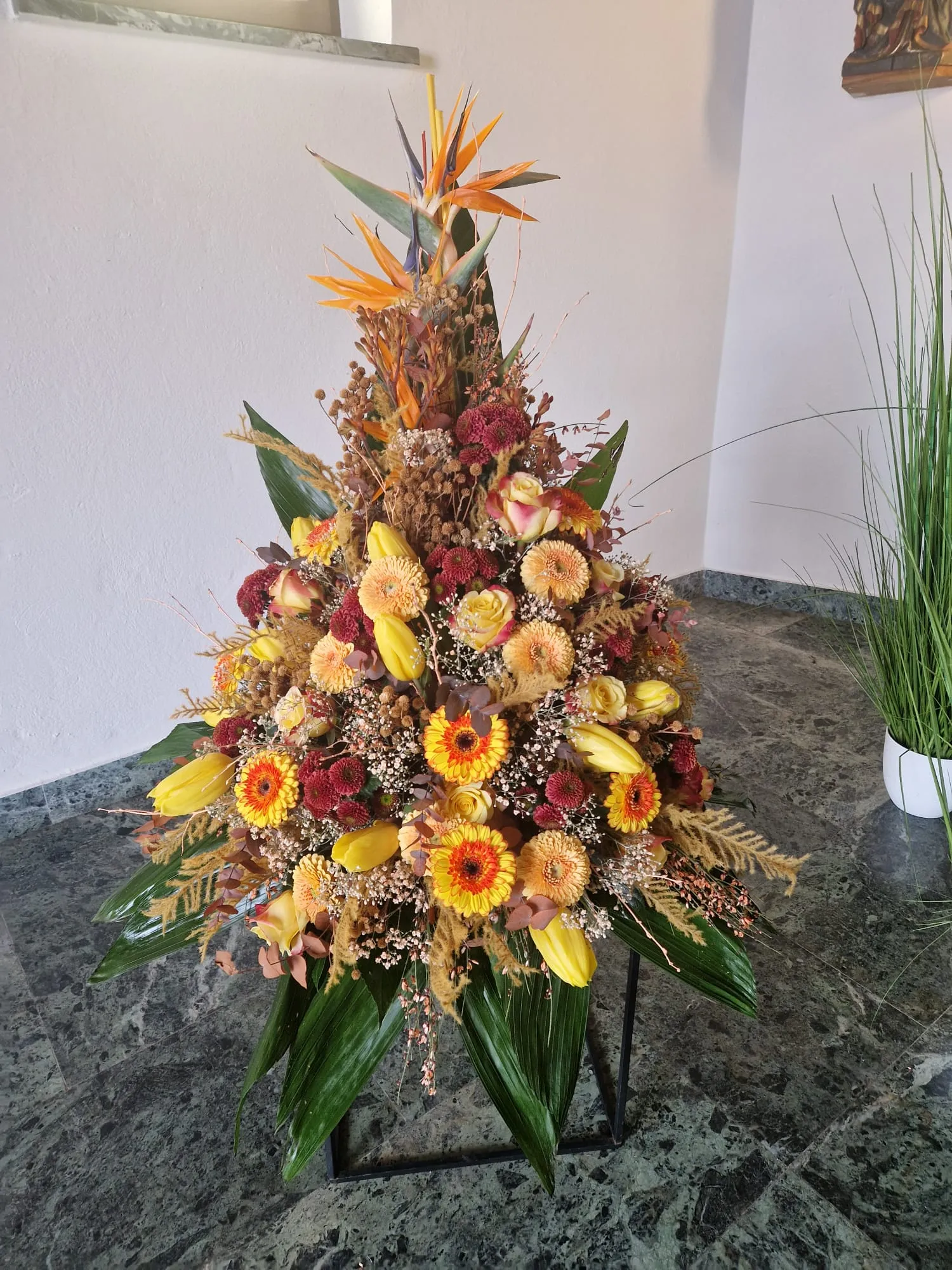 IMG 20260205 WA0011