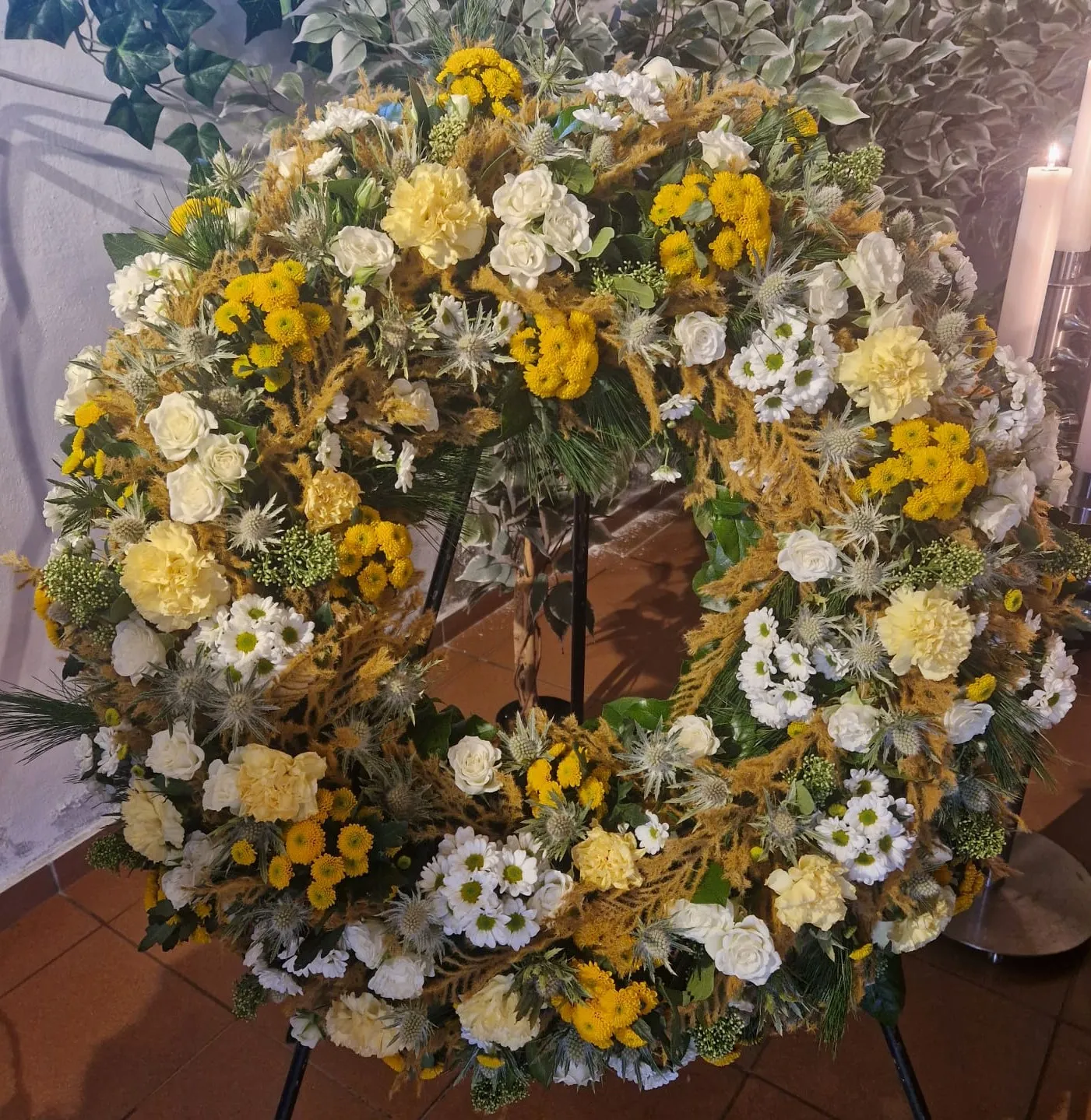 IMG 20260205 WA0031
