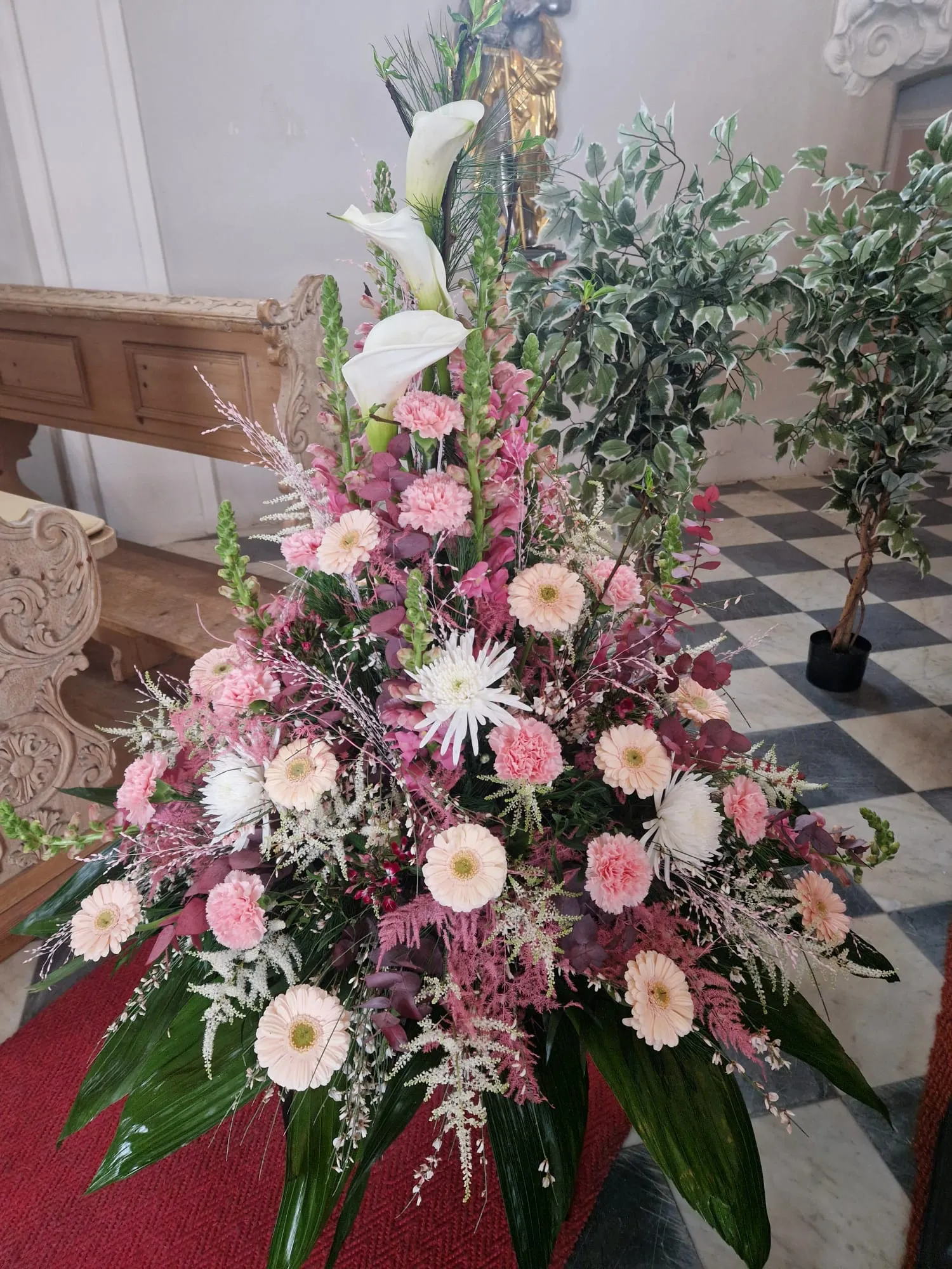 IMG 20260219 WA0014