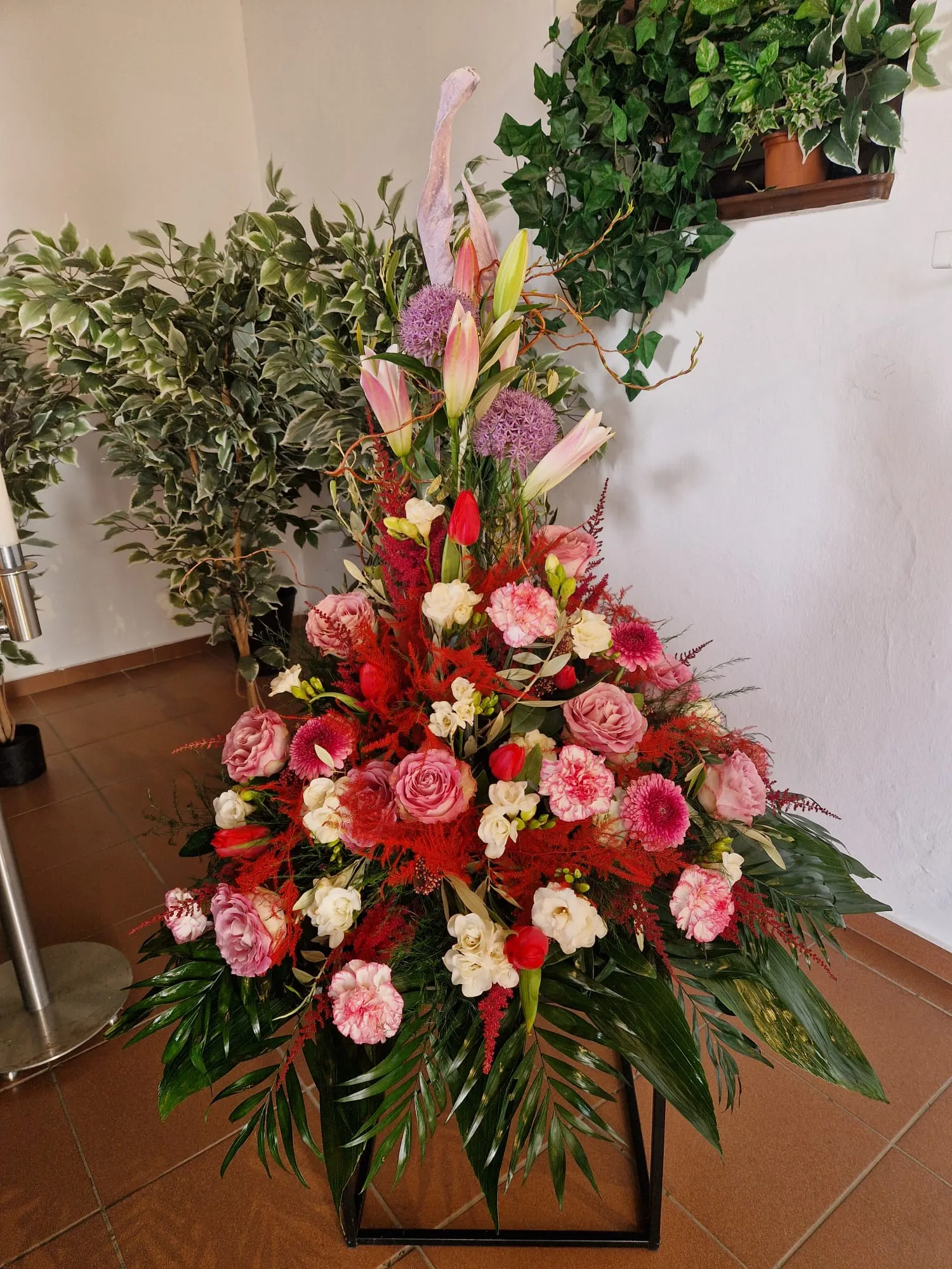 IMG 20260318 WA0004