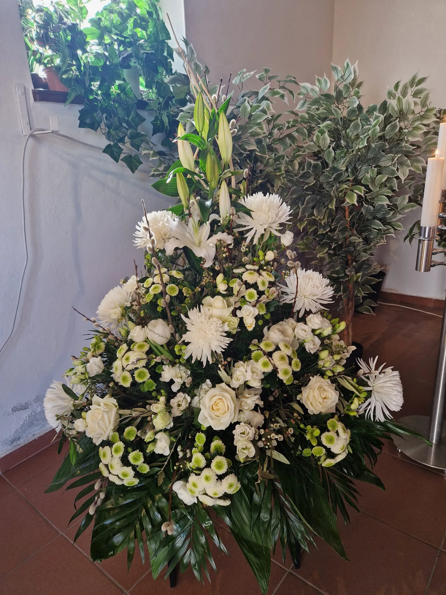IMG 20260318 WA0005