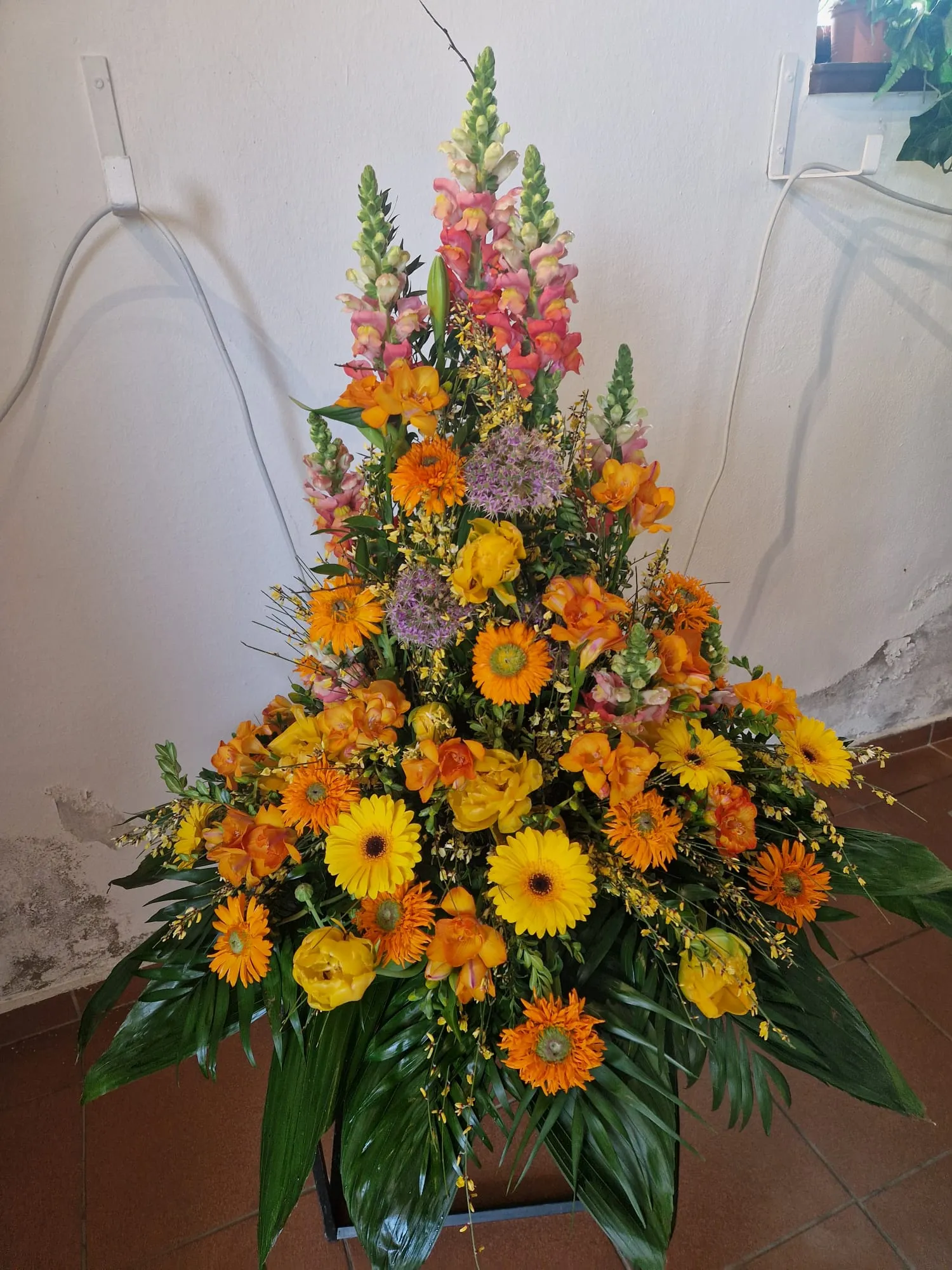 IMG 20260416 WA0017