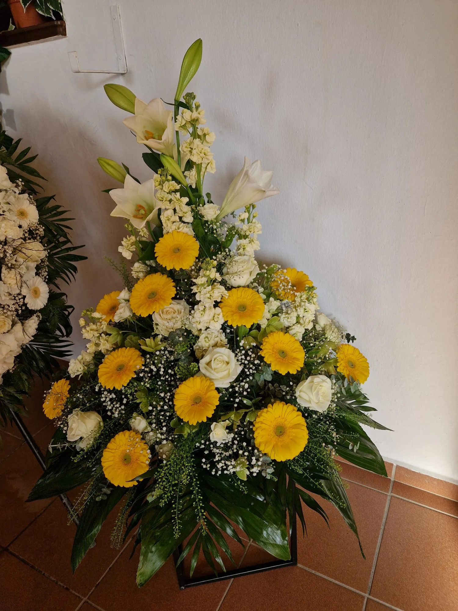 IMG 20260528 WA0013
