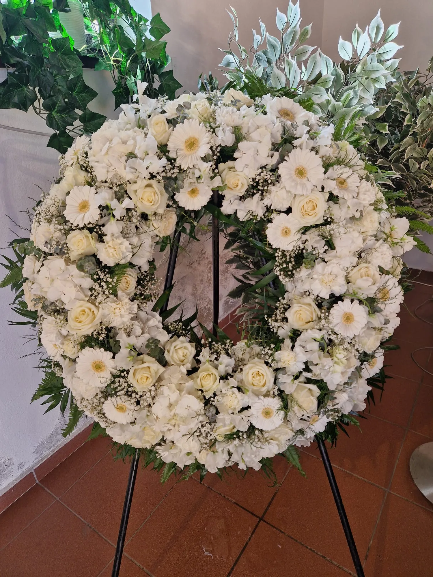 IMG 20260528 WA0015
