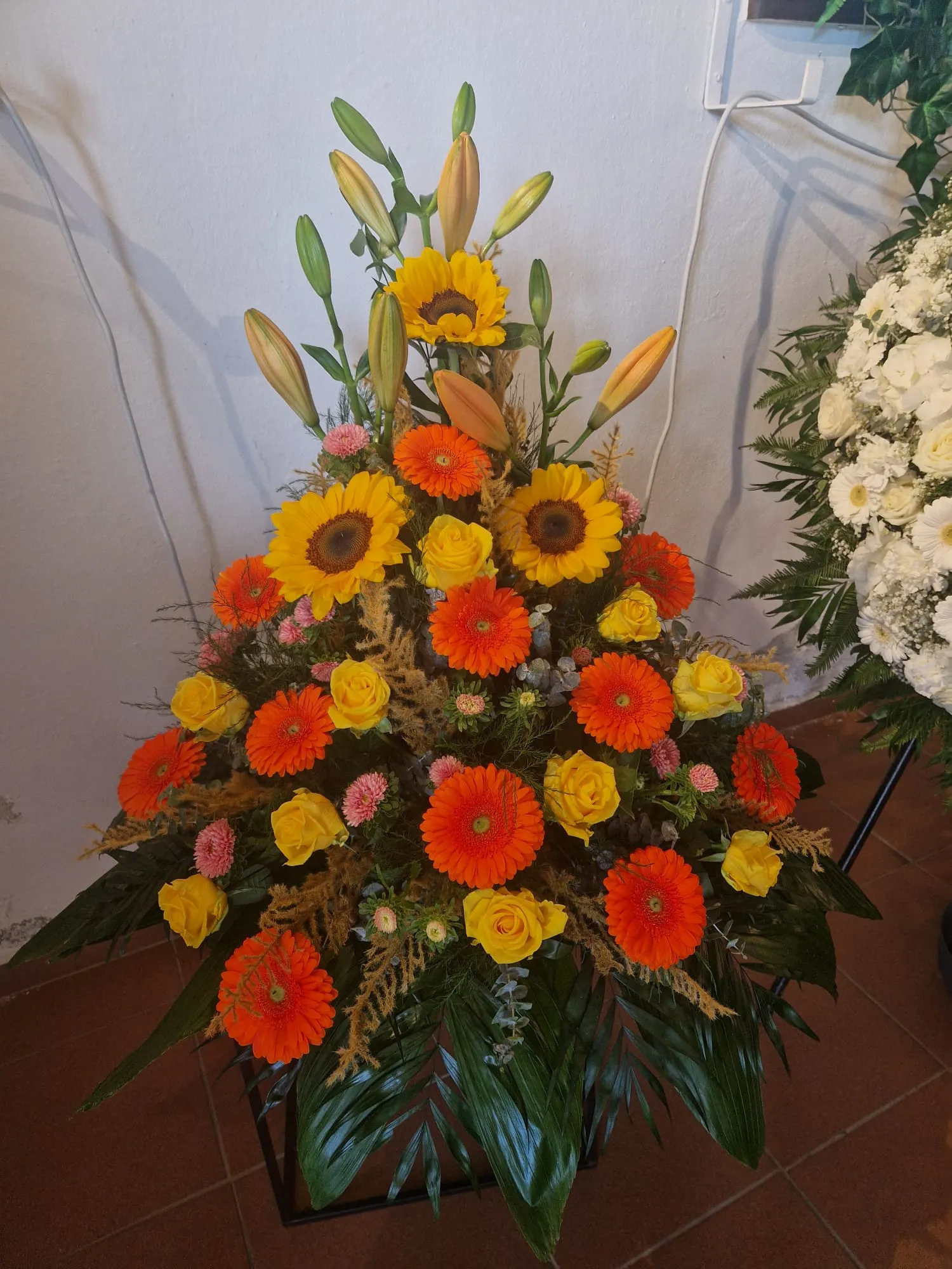 IMG 20260528 WA0019