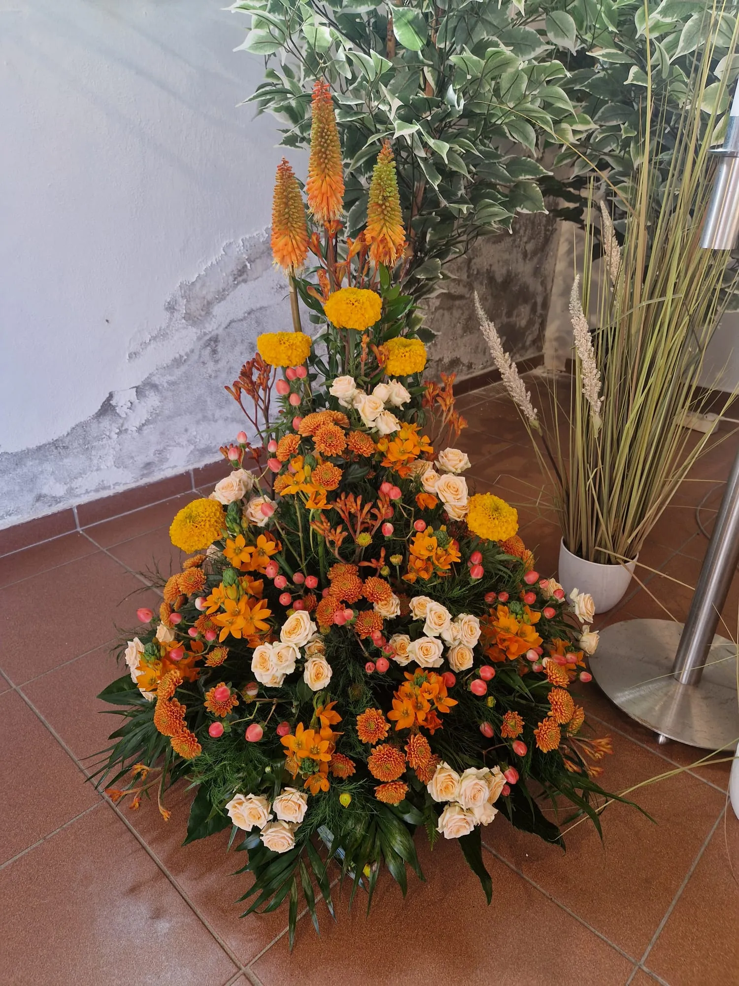 IMG 20260625 WA0017